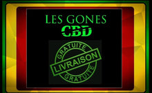 Charger l'image dans la galerie, Amnesia 2.0 Premium CBD 15%
